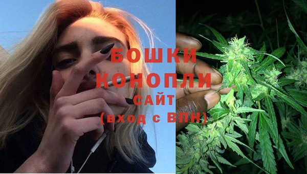 2c-b Богородицк