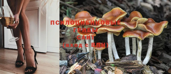 дурь Богданович