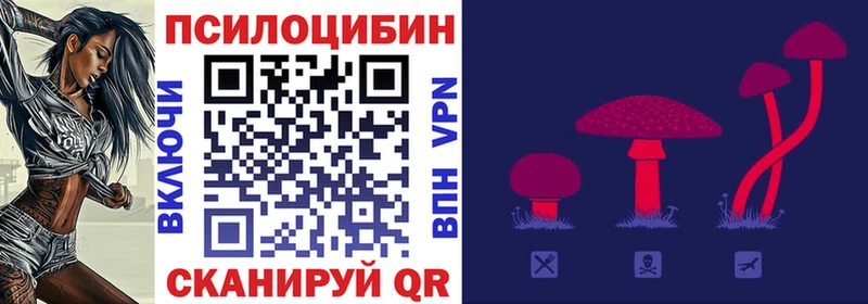 купить закладку  Онега  Галлюциногенные грибы Psilocybine cubensis 