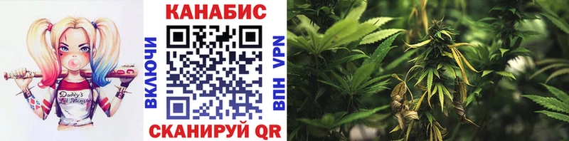 купить наркотики сайты  Онега  Каннабис Ganja 